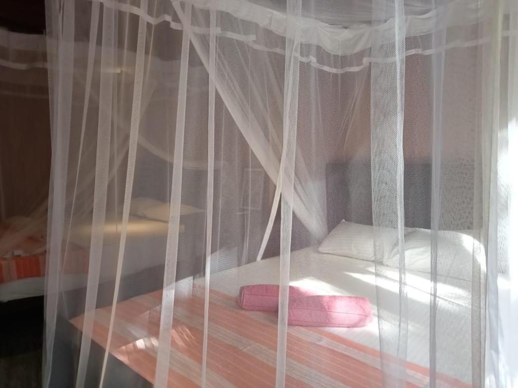 منزل الضيف ديكويلاّ تين  في Piumi House المظهر الخارجي الصورة