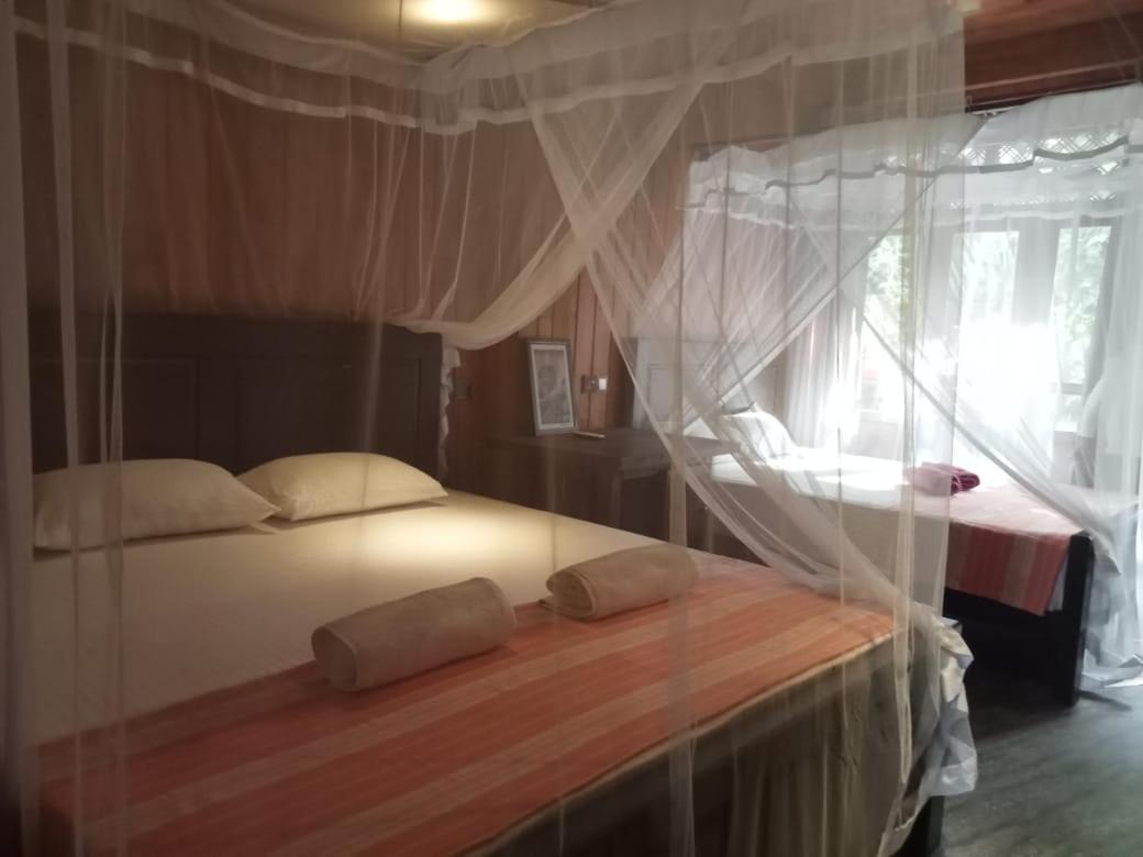 منزل الضيف ديكويلاّ تين  في Piumi House المظهر الخارجي الصورة